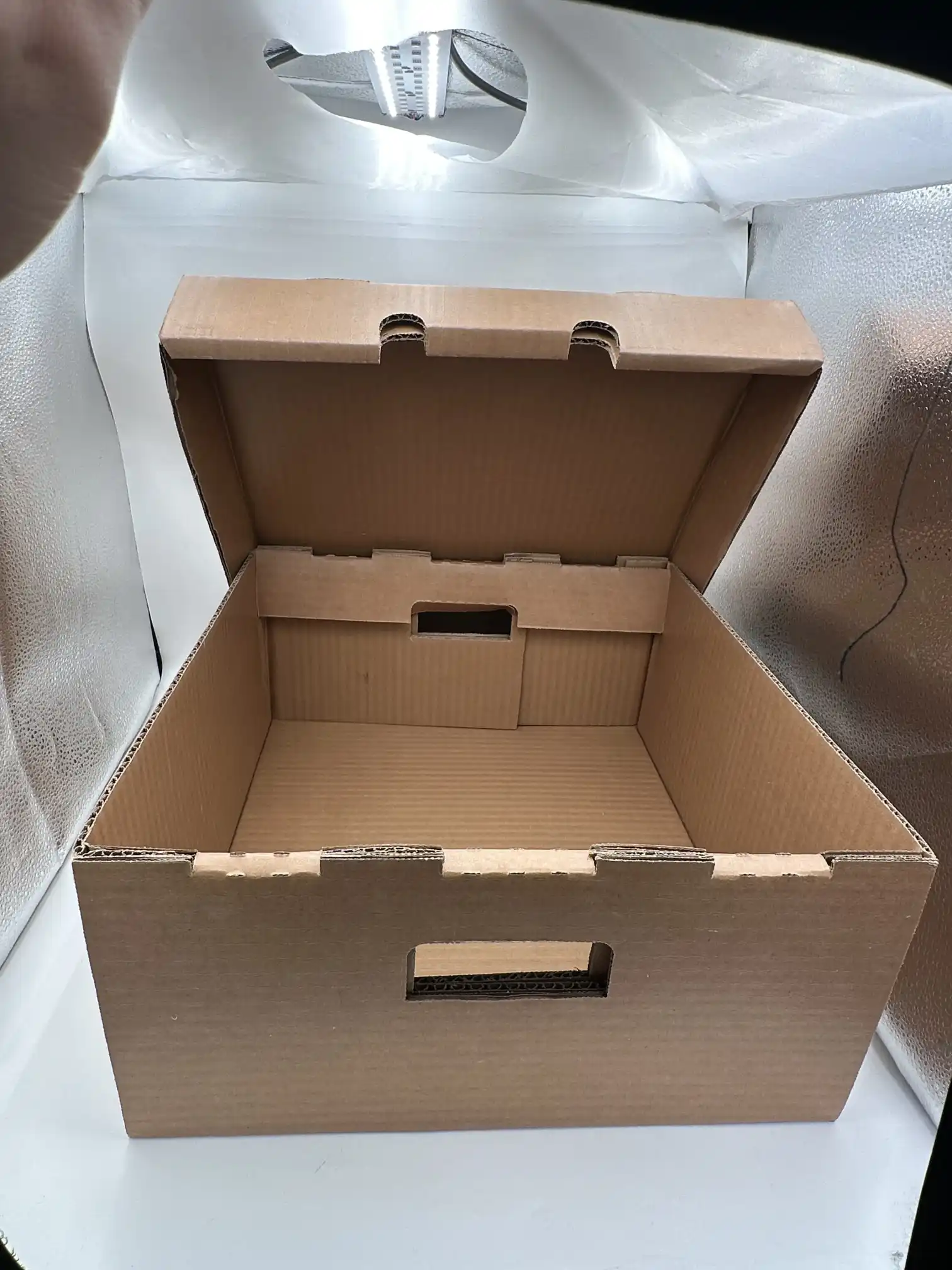 Stor vokset korrugert boks